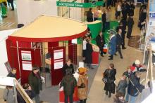 ����� V ������ PROEstate