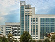 ��������������� ����, ���������������� ������������� �������� ������ ����������� - �������