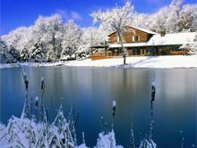 �������� ��� �����������: ������ ������