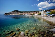 ������ ����� ��������� ������������ ���� �������