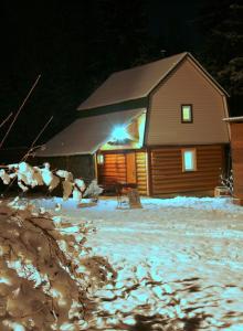 ����� 2018 ���� �� ���������� �����